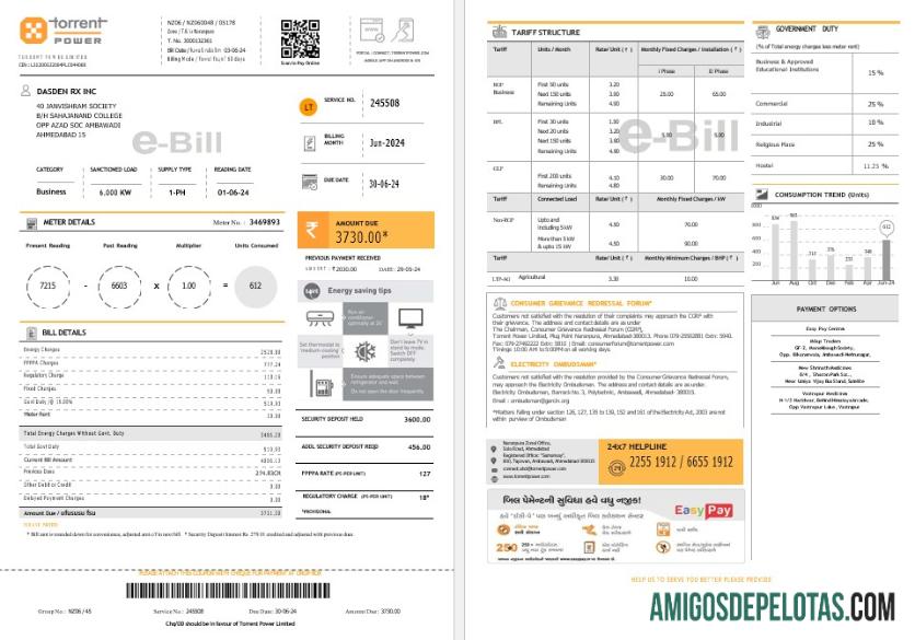 em branco ÍNDIA TORRENT POWER Business Utility Bill Word e modelo PDF